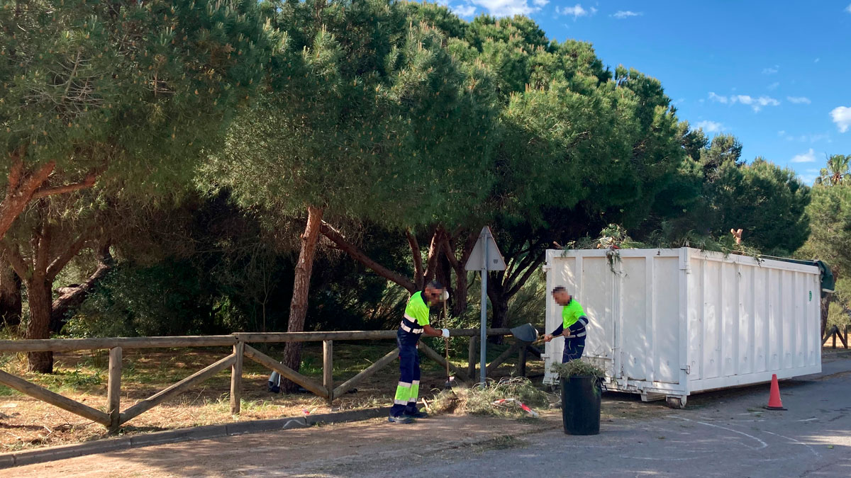 Actuaciones enfocadas a la prevención de incendios forestales